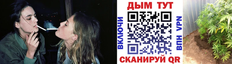 Конопля VHQ Володарск